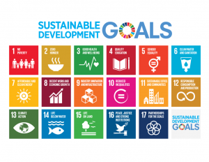Groenbalans organisaties en de SDG's