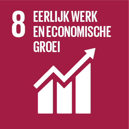 Sustainable Development Goal 8 waardig werk en economische groei