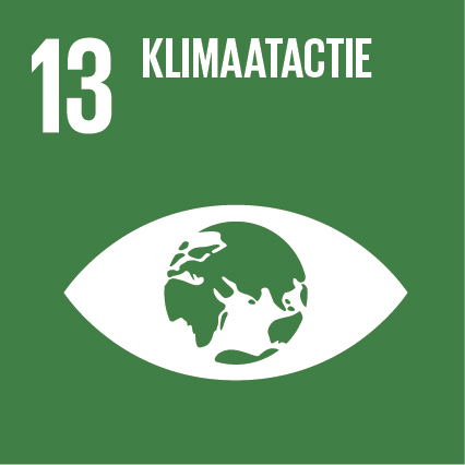 Sustainable Development Goal 13 Klimaatactie