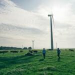 Hennep teelt voor CO2-opslag GreenDutch klimaatproject